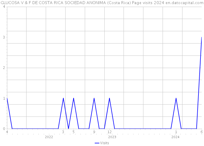 GLUCOSA V & F DE COSTA RICA SOCIEDAD ANONIMA (Costa Rica) Page visits 2024 