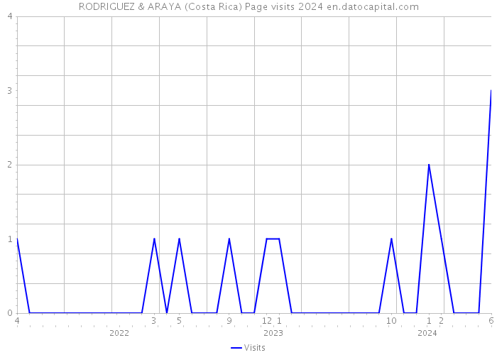 RODRIGUEZ & ARAYA (Costa Rica) Page visits 2024 