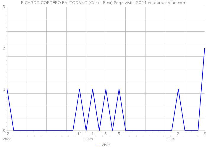 RICARDO CORDERO BALTODANO (Costa Rica) Page visits 2024 