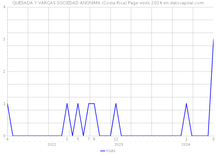 QUESADA Y VARGAS SOCIEDAD ANONIMA (Costa Rica) Page visits 2024 