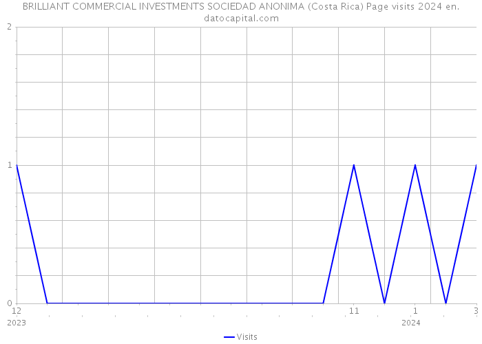 BRILLIANT COMMERCIAL INVESTMENTS SOCIEDAD ANONIMA (Costa Rica) Page visits 2024 