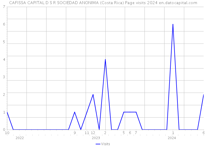 CAFISSA CAPITAL D S R SOCIEDAD ANONIMA (Costa Rica) Page visits 2024 