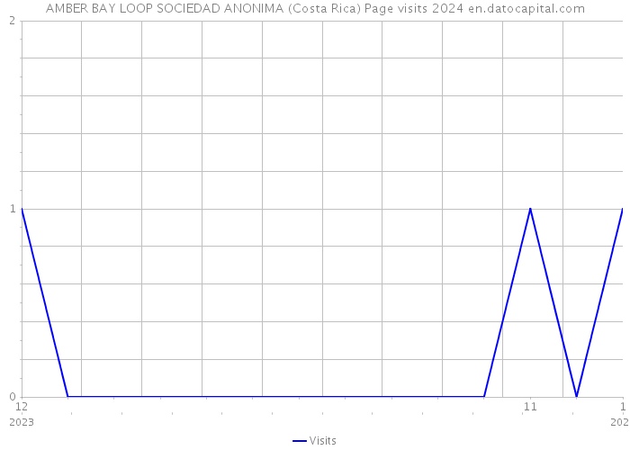 AMBER BAY LOOP SOCIEDAD ANONIMA (Costa Rica) Page visits 2024 