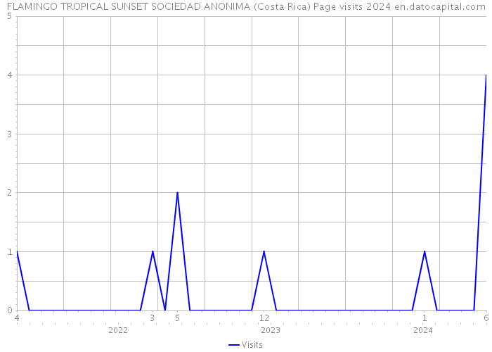 FLAMINGO TROPICAL SUNSET SOCIEDAD ANONIMA (Costa Rica) Page visits 2024 