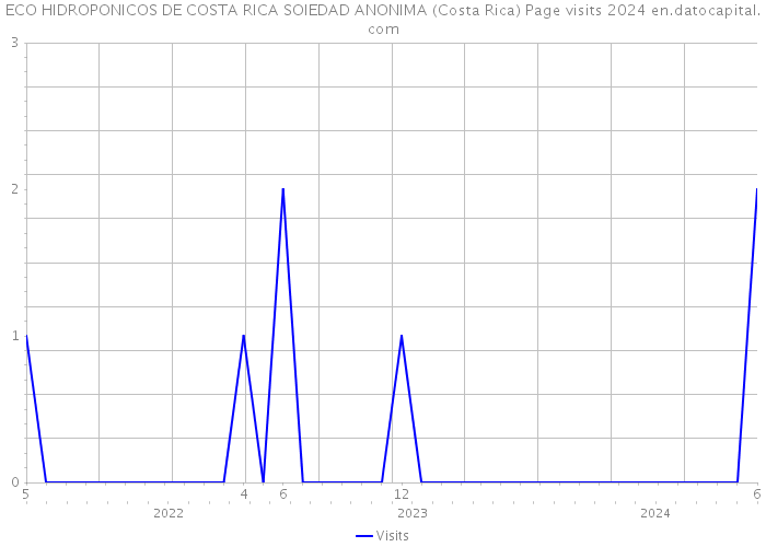 ECO HIDROPONICOS DE COSTA RICA SOIEDAD ANONIMA (Costa Rica) Page visits 2024 