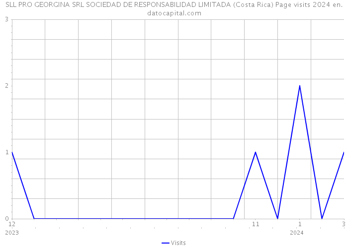 SLL PRO GEORGINA SRL SOCIEDAD DE RESPONSABILIDAD LIMITADA (Costa Rica) Page visits 2024 