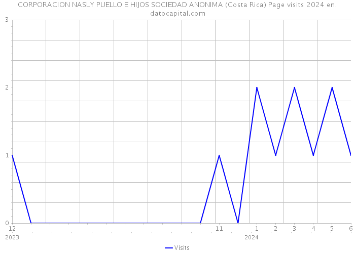 CORPORACION NASLY PUELLO E HIJOS SOCIEDAD ANONIMA (Costa Rica) Page visits 2024 