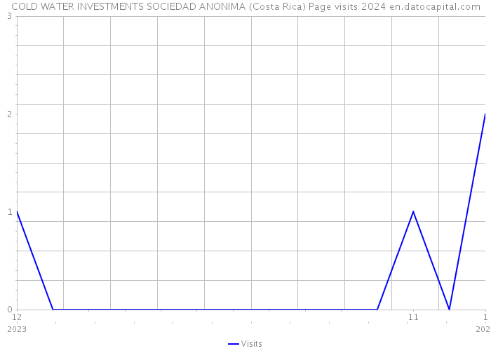 COLD WATER INVESTMENTS SOCIEDAD ANONIMA (Costa Rica) Page visits 2024 