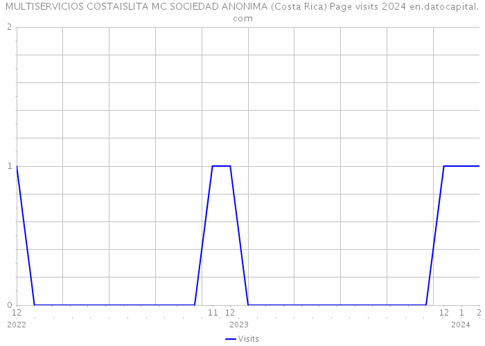 MULTISERVICIOS COSTAISLITA MC SOCIEDAD ANONIMA (Costa Rica) Page visits 2024 