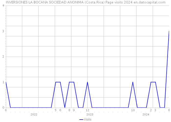 INVERSIONES LA BOCANA SOCIEDAD ANONIMA (Costa Rica) Page visits 2024 