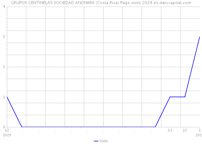 GRUPOS CENTINELAS SOCIEDAD ANONIMA (Costa Rica) Page visits 2024 