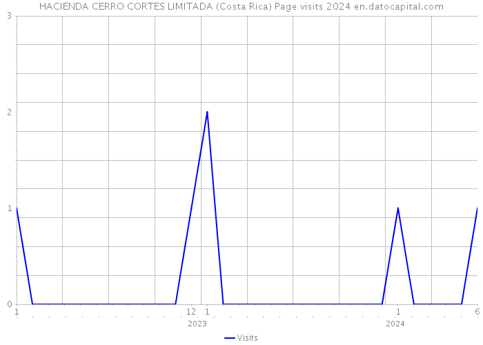 HACIENDA CERRO CORTES LIMITADA (Costa Rica) Page visits 2024 
