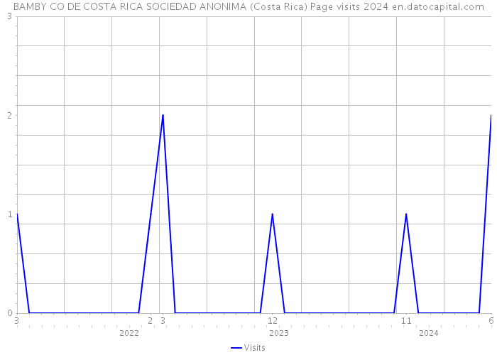 BAMBY CO DE COSTA RICA SOCIEDAD ANONIMA (Costa Rica) Page visits 2024 