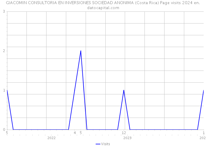 GIACOMIN CONSULTORIA EN INVERSIONES SOCIEDAD ANONIMA (Costa Rica) Page visits 2024 