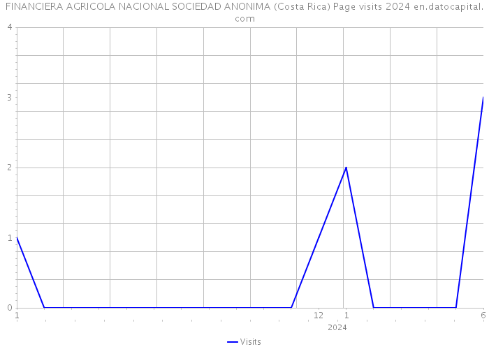 FINANCIERA AGRICOLA NACIONAL SOCIEDAD ANONIMA (Costa Rica) Page visits 2024 