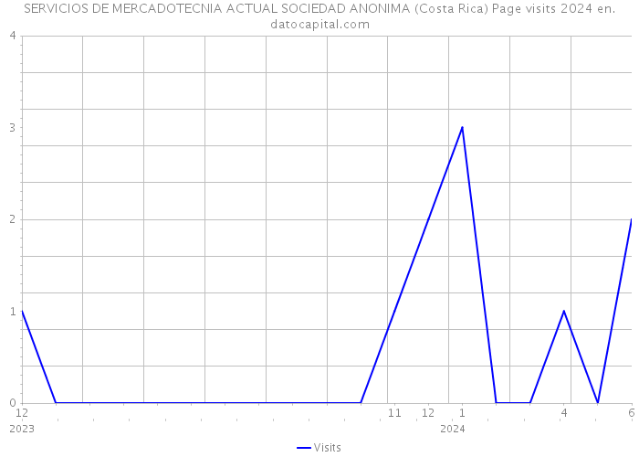 SERVICIOS DE MERCADOTECNIA ACTUAL SOCIEDAD ANONIMA (Costa Rica) Page visits 2024 
