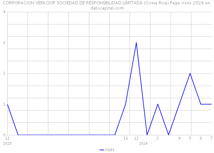 CORPORACION VERKOOP SOCIEDAD DE RESPONSBILIDAD LIMITADA (Costa Rica) Page visits 2024 