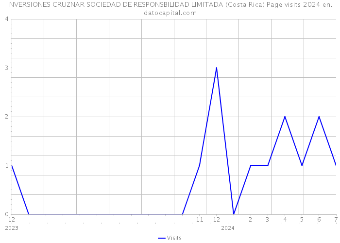 INVERSIONES CRUZNAR SOCIEDAD DE RESPONSBILIDAD LIMITADA (Costa Rica) Page visits 2024 