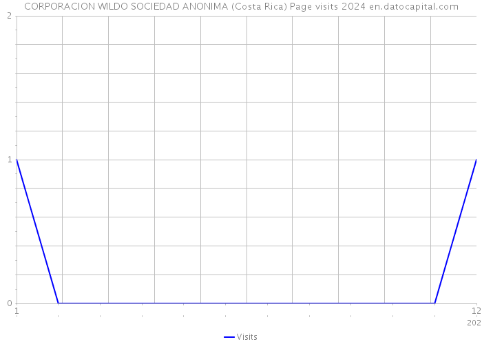 CORPORACION WILDO SOCIEDAD ANONIMA (Costa Rica) Page visits 2024 