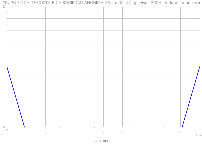 GRUPO SIDCA DE COSTA RICA SOCIEDAD ANONIMA (Costa Rica) Page visits 2024 