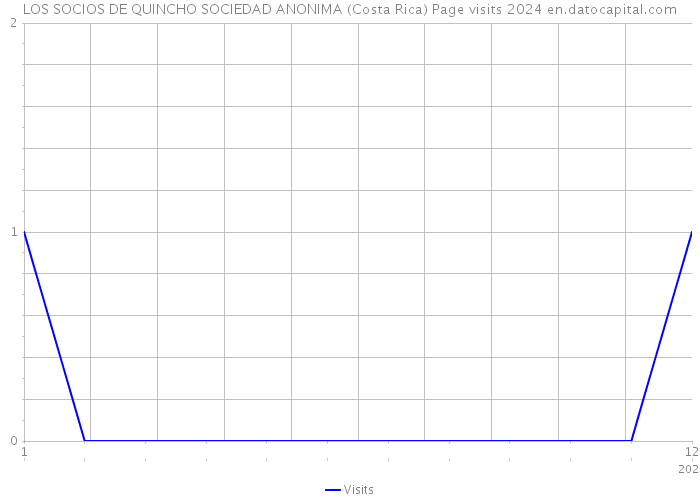 LOS SOCIOS DE QUINCHO SOCIEDAD ANONIMA (Costa Rica) Page visits 2024 