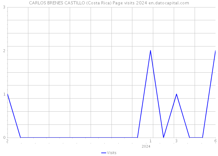 CARLOS BRENES CASTILLO (Costa Rica) Page visits 2024 