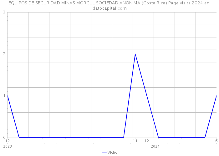 EQUIPOS DE SEGURIDAD MINAS MORGUL SOCIEDAD ANONIMA (Costa Rica) Page visits 2024 