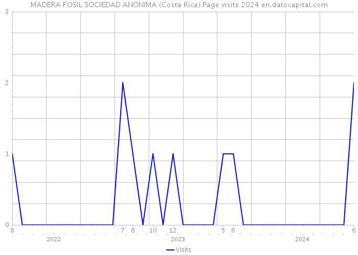 MADERA FOSIL SOCIEDAD ANONIMA (Costa Rica) Page visits 2024 