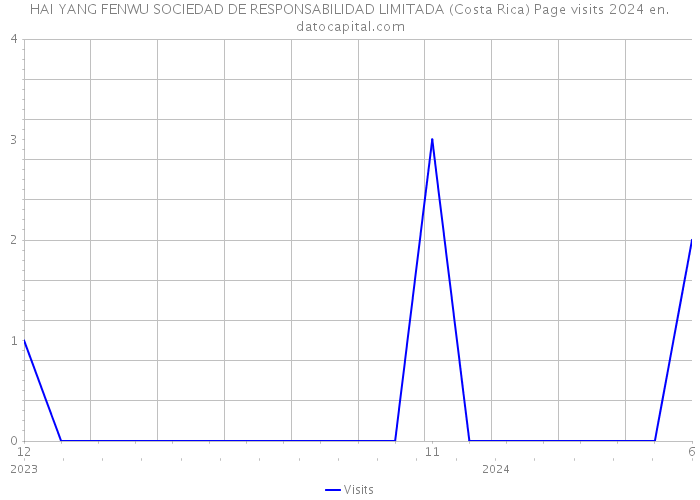 HAI YANG FENWU SOCIEDAD DE RESPONSABILIDAD LIMITADA (Costa Rica) Page visits 2024 