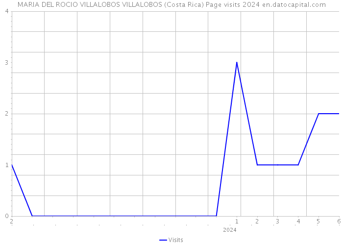 MARIA DEL ROCIO VILLALOBOS VILLALOBOS (Costa Rica) Page visits 2024 