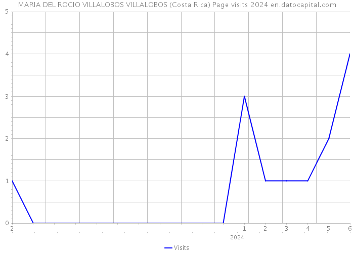 MARIA DEL ROCIO VILLALOBOS VILLALOBOS (Costa Rica) Page visits 2024 