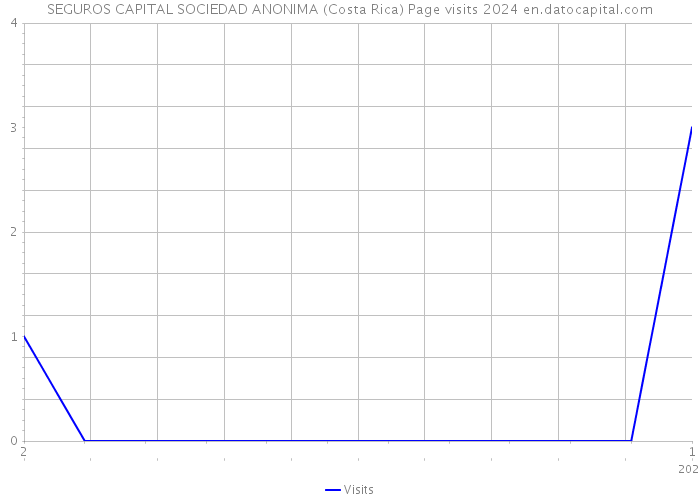 SEGUROS CAPITAL SOCIEDAD ANONIMA (Costa Rica) Page visits 2024 