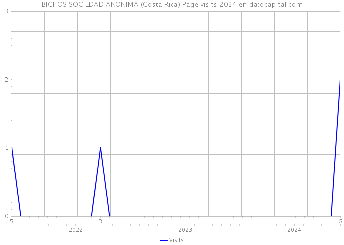BICHOS SOCIEDAD ANONIMA (Costa Rica) Page visits 2024 