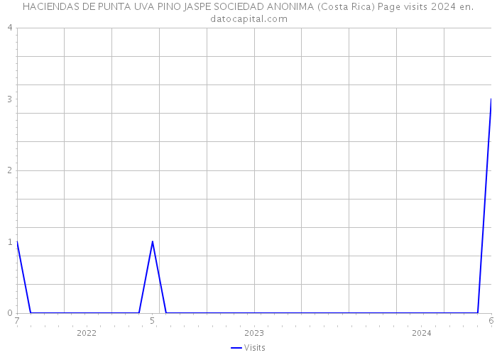 HACIENDAS DE PUNTA UVA PINO JASPE SOCIEDAD ANONIMA (Costa Rica) Page visits 2024 