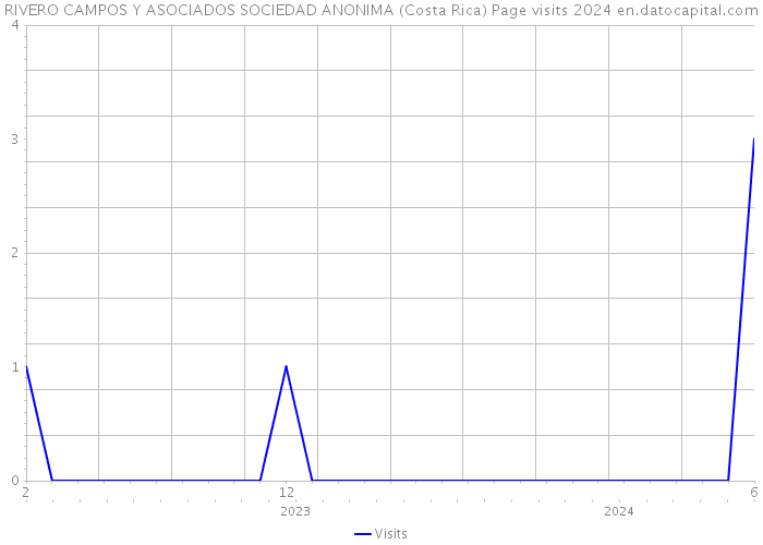 RIVERO CAMPOS Y ASOCIADOS SOCIEDAD ANONIMA (Costa Rica) Page visits 2024 
