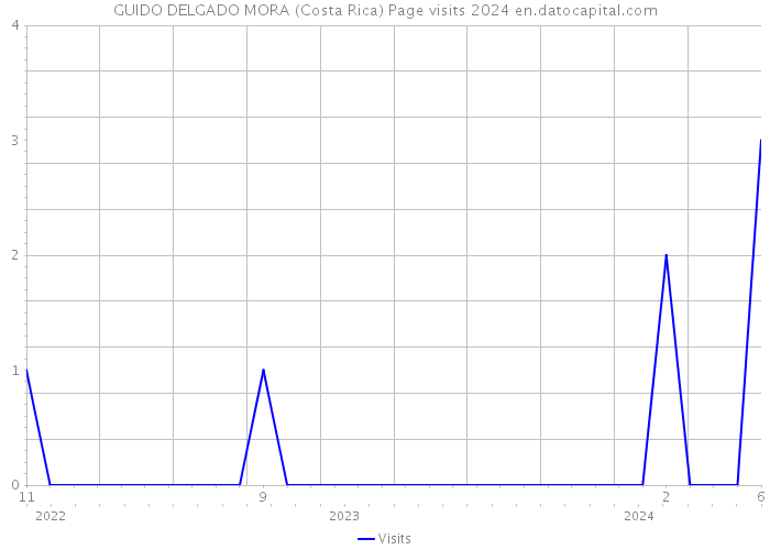 GUIDO DELGADO MORA (Costa Rica) Page visits 2024 