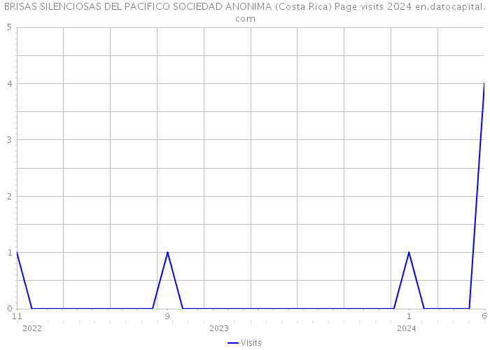 BRISAS SILENCIOSAS DEL PACIFICO SOCIEDAD ANONIMA (Costa Rica) Page visits 2024 