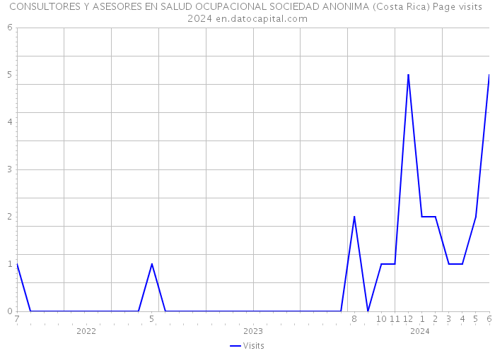 CONSULTORES Y ASESORES EN SALUD OCUPACIONAL SOCIEDAD ANONIMA (Costa Rica) Page visits 2024 