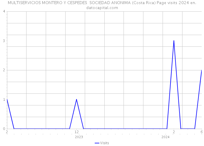 MULTISERVICIOS MONTERO Y CESPEDES SOCIEDAD ANONIMA (Costa Rica) Page visits 2024 