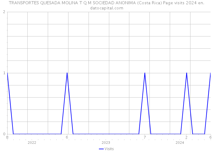 TRANSPORTES QUESADA MOLINA T Q M SOCIEDAD ANONIMA (Costa Rica) Page visits 2024 