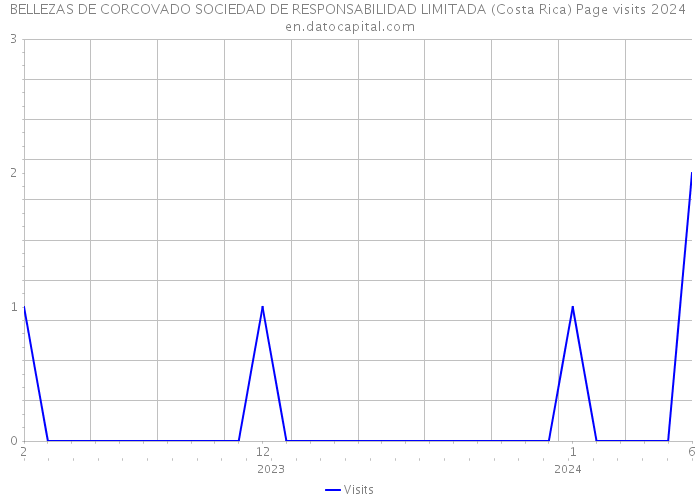 BELLEZAS DE CORCOVADO SOCIEDAD DE RESPONSABILIDAD LIMITADA (Costa Rica) Page visits 2024 