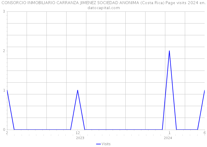 CONSORCIO INMOBILIARIO CARRANZA JIMENEZ SOCIEDAD ANONIMA (Costa Rica) Page visits 2024 