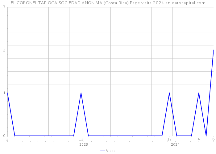 EL CORONEL TAPIOCA SOCIEDAD ANONIMA (Costa Rica) Page visits 2024 