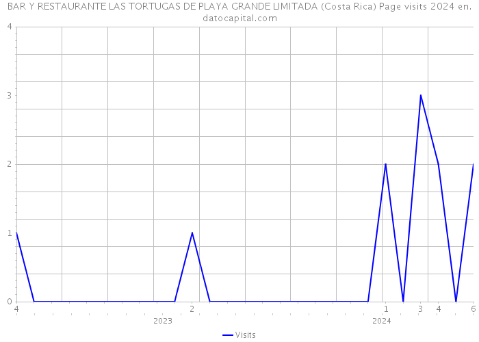BAR Y RESTAURANTE LAS TORTUGAS DE PLAYA GRANDE LIMITADA (Costa Rica) Page visits 2024 