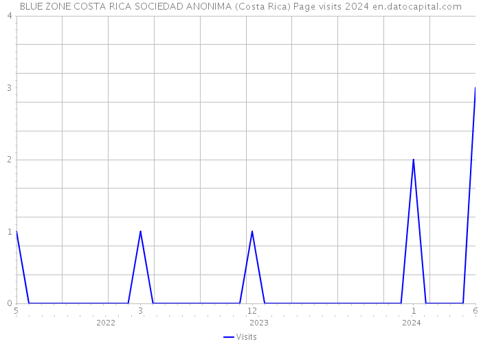 BLUE ZONE COSTA RICA SOCIEDAD ANONIMA (Costa Rica) Page visits 2024 