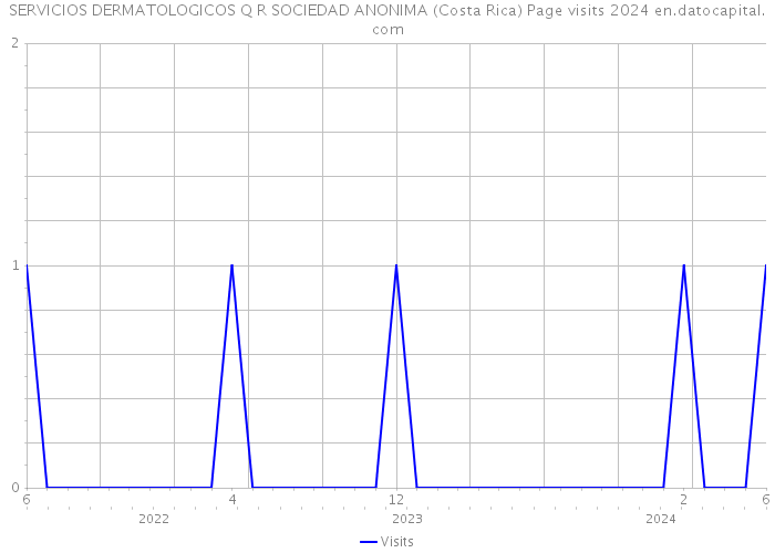 SERVICIOS DERMATOLOGICOS Q R SOCIEDAD ANONIMA (Costa Rica) Page visits 2024 