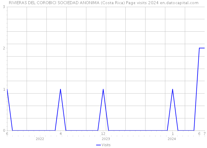 RIVIERAS DEL COROBICI SOCIEDAD ANONIMA (Costa Rica) Page visits 2024 