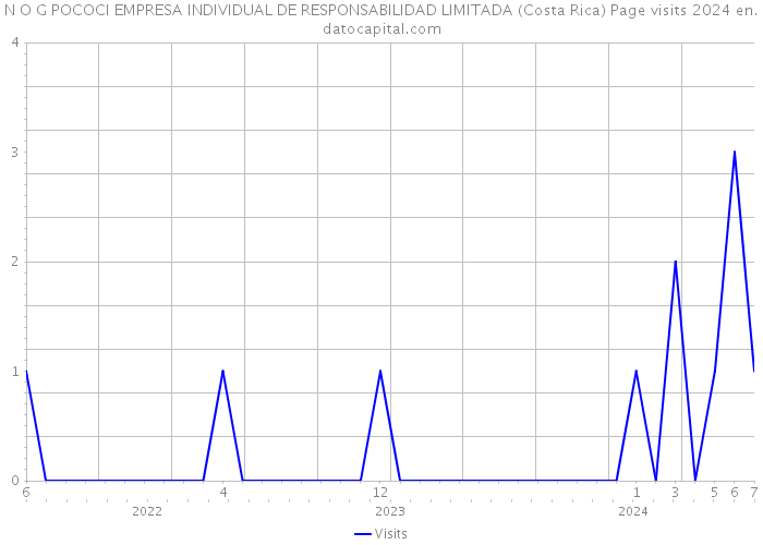N O G POCOCI EMPRESA INDIVIDUAL DE RESPONSABILIDAD LIMITADA (Costa Rica) Page visits 2024 