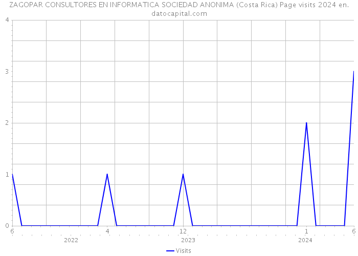 ZAGOPAR CONSULTORES EN INFORMATICA SOCIEDAD ANONIMA (Costa Rica) Page visits 2024 