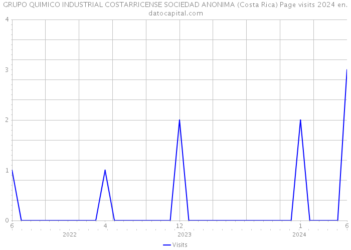 GRUPO QUIMICO INDUSTRIAL COSTARRICENSE SOCIEDAD ANONIMA (Costa Rica) Page visits 2024 